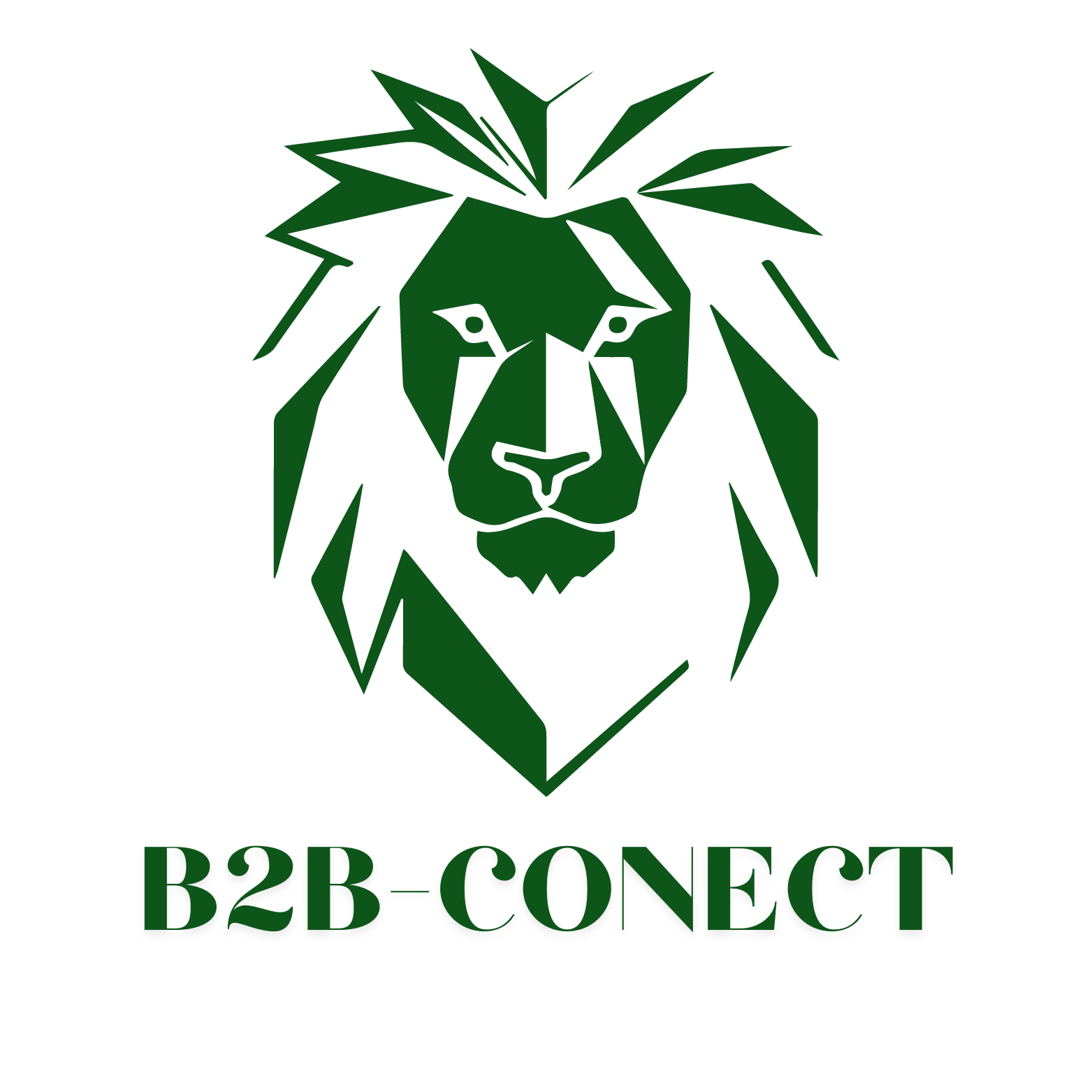 B2B-Conect